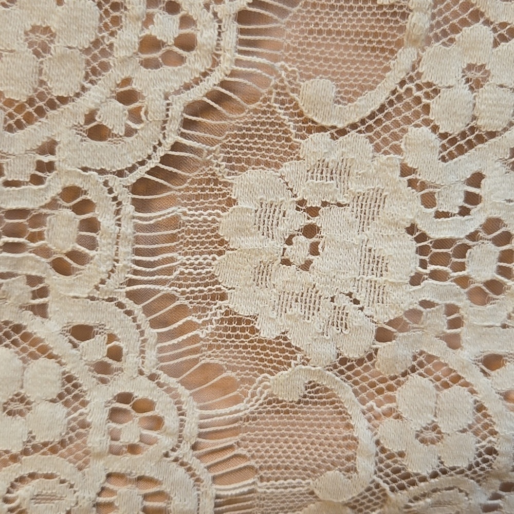 Jessica Simpson-Ivory lace top with pleated chiffon sleeveless dress Size 6 NWT. - Picture 6 of 12